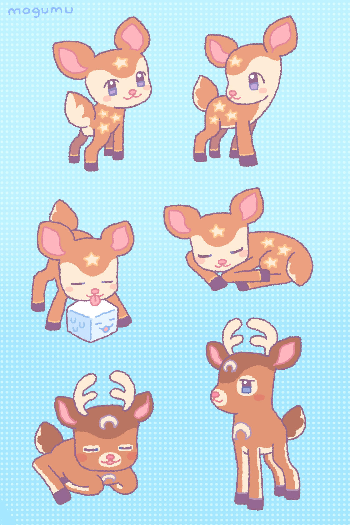 deer deer